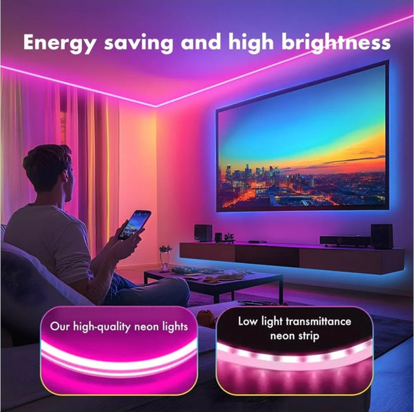 LED Neon Rope Light (5M)